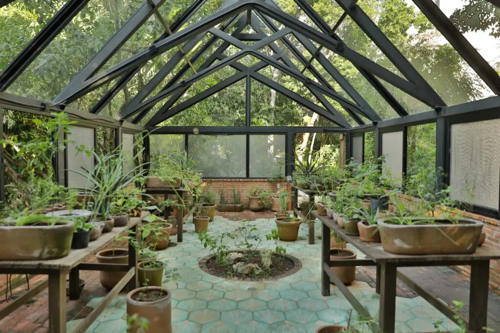 Take a peaceful stroll through the serene greenhouse, home to ancient bonsai trees and vibrant orchids. (Photo courtesy Palmaïa-The House of Aïa)