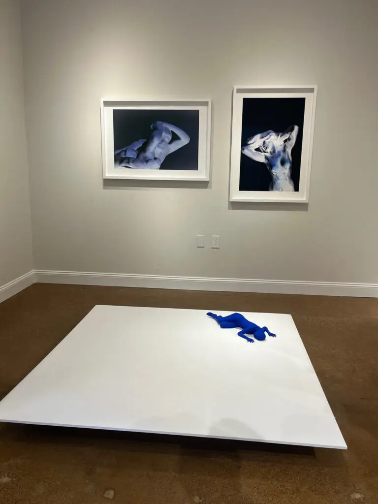 Installation view of "Objects of Desire" at Akim Monet Fine Arts in Dallas Design District
