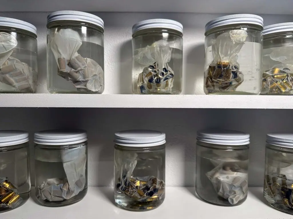 Detail of Bernardo Vallarino-Portela’s “Discharged Loads Specimens,” 2024, in "BAN THIS SHOW." (Courtesy of the artist)