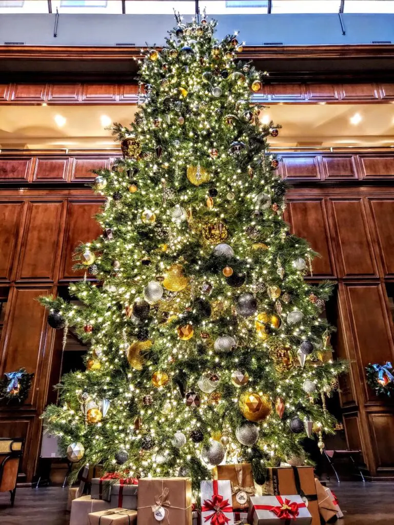 Cozy up by the fire and experience the magic of The Adolphus Hotel. 