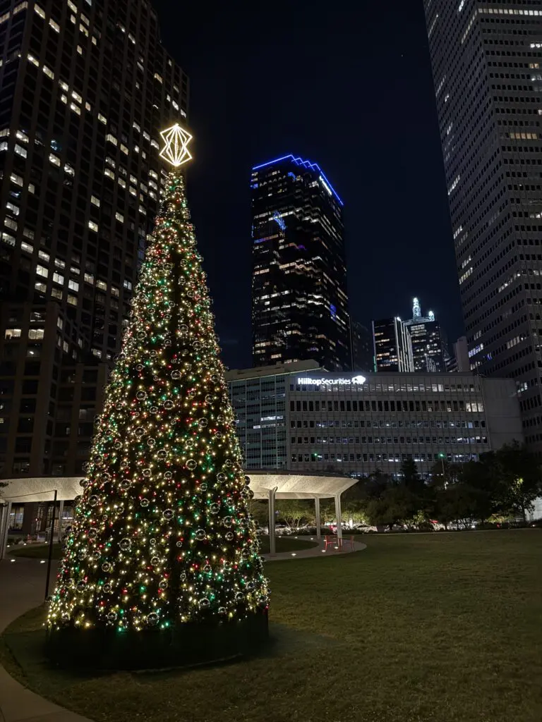 Visit Pacific Plaza to witness the gorgeous 35-foot-tall holiday tree. Featuring 3,000 bulbs, 10,000 mini lights, and 450 ornaments, it’s not to be missed and the perfect backdrop for holiday photos and memories.