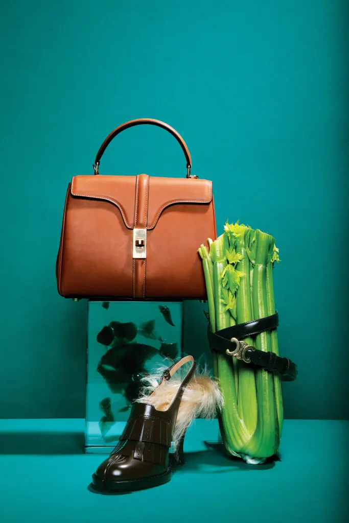 Celine by Hedi Slimane bag $4,950, and Teen Triomphe belt $560, at the Celine Boutique. Maison Margiela Bourgeoise slingback pump $1,690, at fortyfiveten.com  (Photo by Tony Solis)