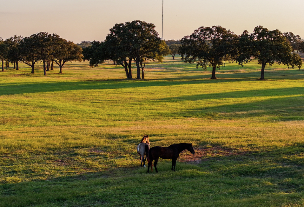 Beautiful terrain  of the K6 Ranch in Mineral Wells