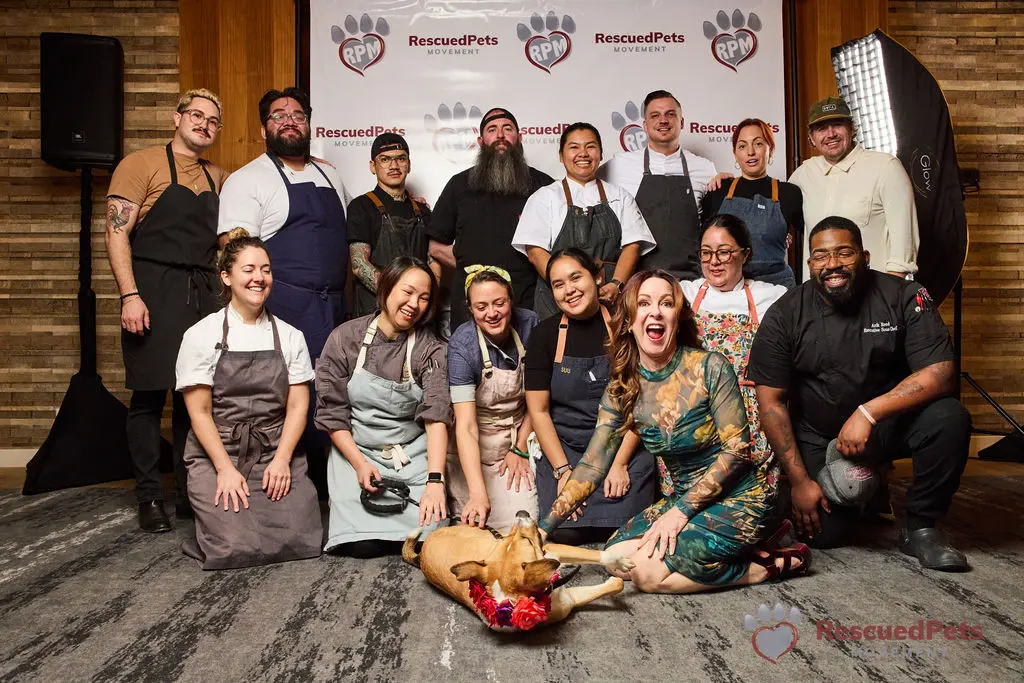 Chefs from last year's Chefs for Paws Event included, Alyssa Dole | Hope Farms, Victoria Elizondo | Cochinita & Co.,Andre Garza | The Chelsea,Top Chef Contestant Sasha Grumman | SASS Hospitality, Robert Hebert | Savoir,
Master Chef Runner-Up Suu Khin –Burmalicious, Travis McShane | Ostia
James Beard Award Winner “Chef G” Benchawan Painter | Street To Kitchen
Tim Reading | Leo’s River Oaks, Marie Riddle | Bludorn, Raphael Rogers | The C. Baldwin Hotel and Chef Bell & Chef O | MaKinn.
 (Photo by Pam Ashley Photography)