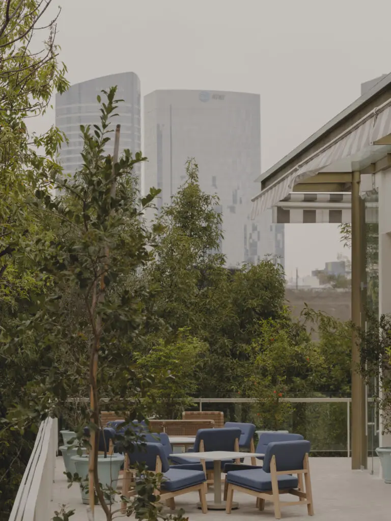 Holden Rooftop offers refreshing cocktails and grilled fare while soaking in the Mexico City views.