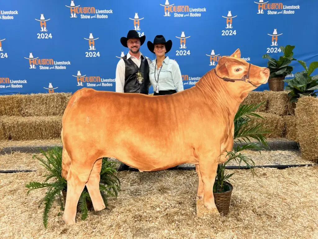 Tony Bradfield and Dana Barton, leaders of the Rodeo Auction Angels, with one of the many steers purchased during the Houston Livestock Show & Rodeo.