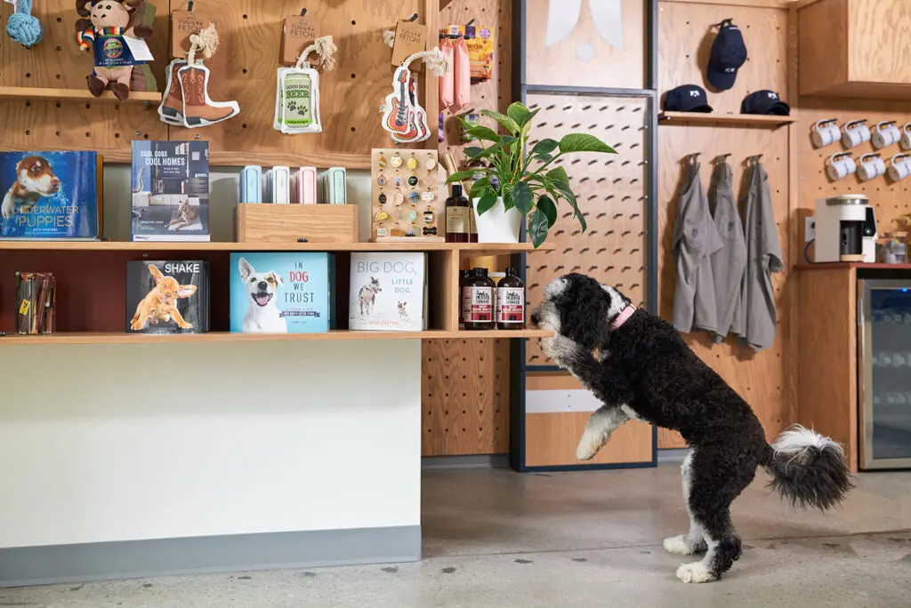 Yardstick opens its first Texas location in the Dallas Design District. Just in time for summer travels, a second Dallas location will open in Lakewood in May. (Photo courtesy of Yardstick) 