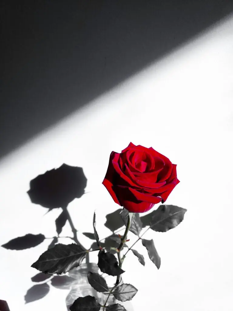 The 7 New Dating Trends to Know — A Modern Etiquette Expert’s Guide to Romance in 2025