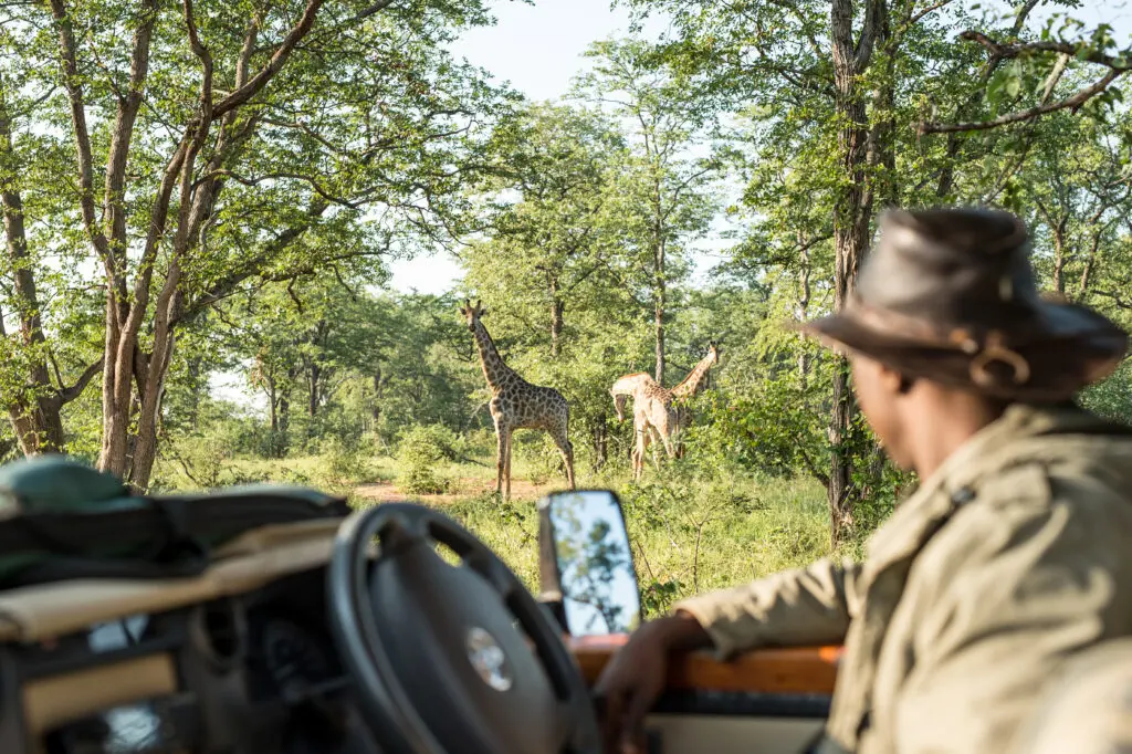From African safaris to great American road trips, our team designs epic and immersive Members-only itineraries.
