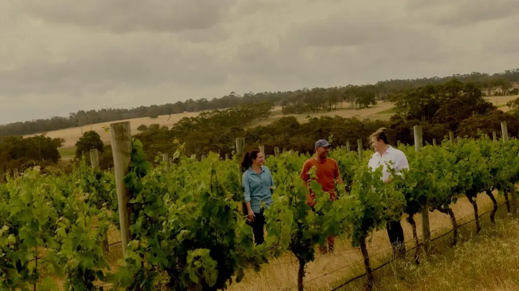 Xanadu's estate vineyards specialize in chardonnay, sauvignon blanc, and cabernet sauvignon.