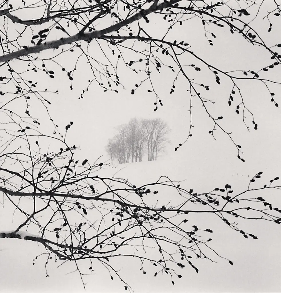 Michael Kenna's "Distant Trees, Sorachi, Hokkaido, Japan," 2023, at PDNB Gallery 