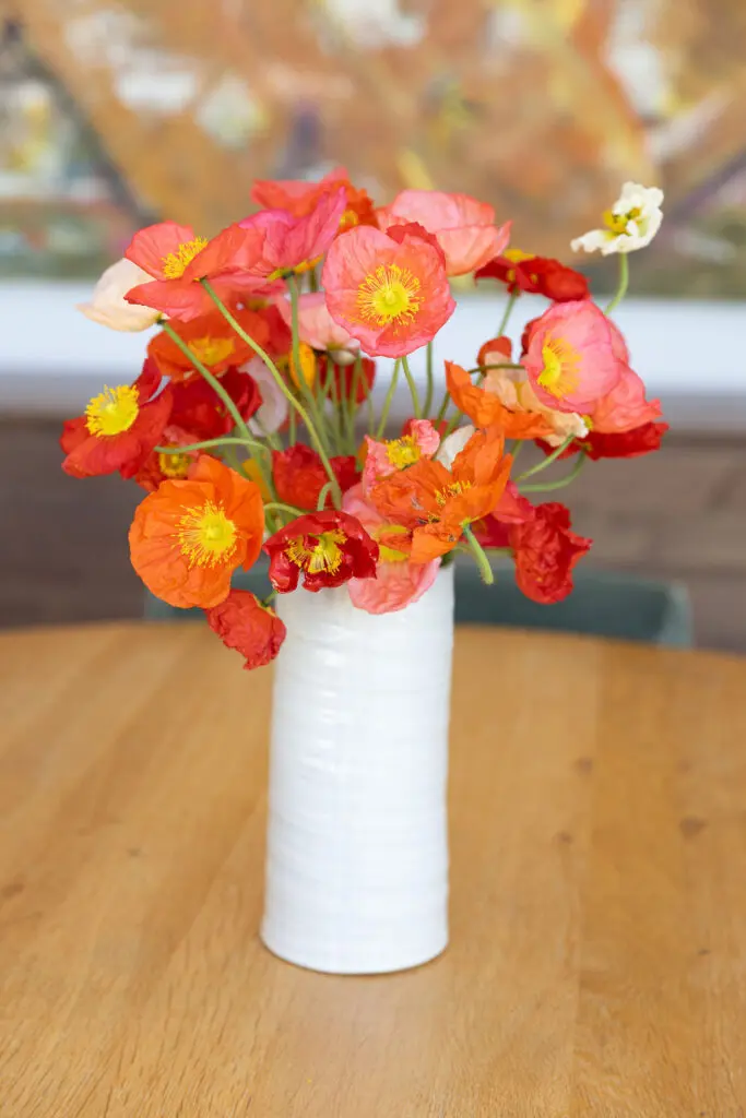 Poppies freshly cut from Rae Liu's home garden. (Photo by Kaitlin Saragusa Photography)