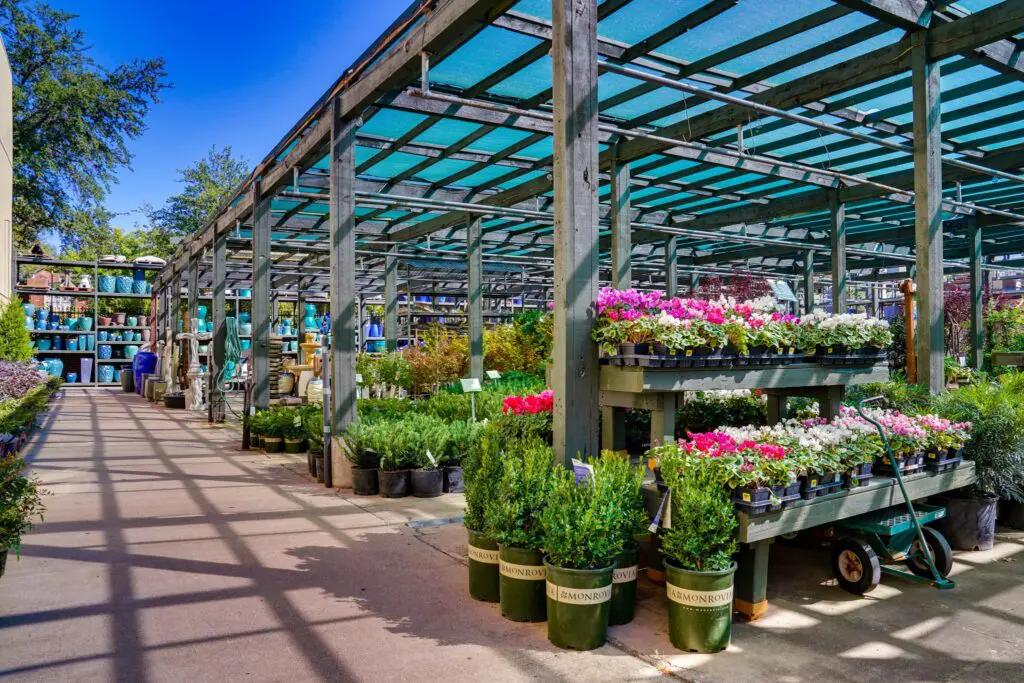 Jacksons Home and Garden is Maggie Kipp's go-to for perennials. (Courtesy)