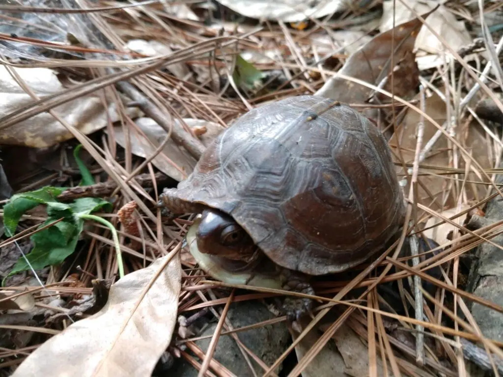 Spring Creek Nature Center