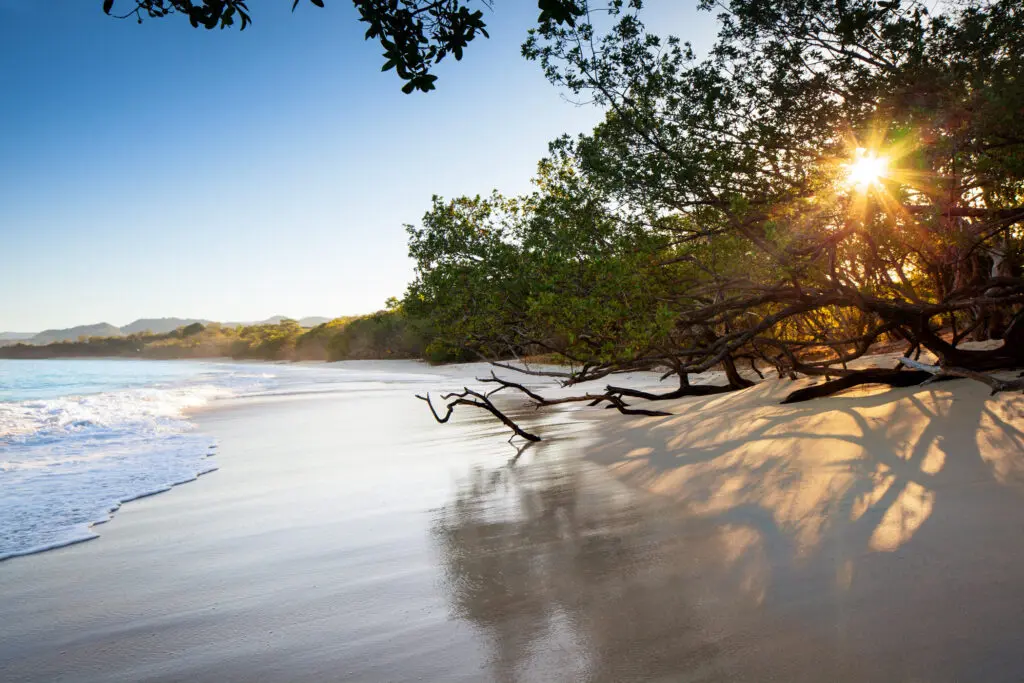 Located between the Guanacaste Coast and Reserva Conchal, one of the first things you must do when arriving at W Costa Rica is take a walk down to the beach.