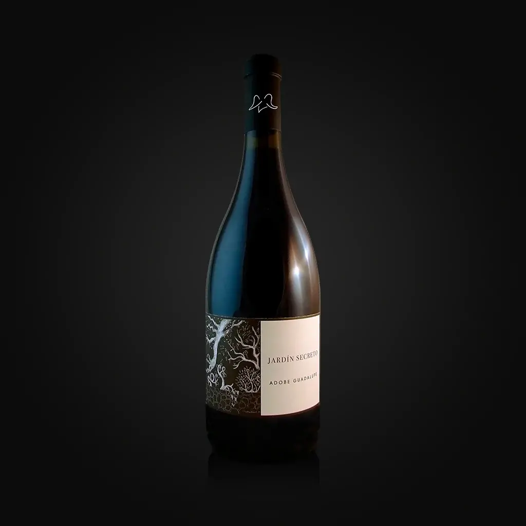 north texas wine tastemakers