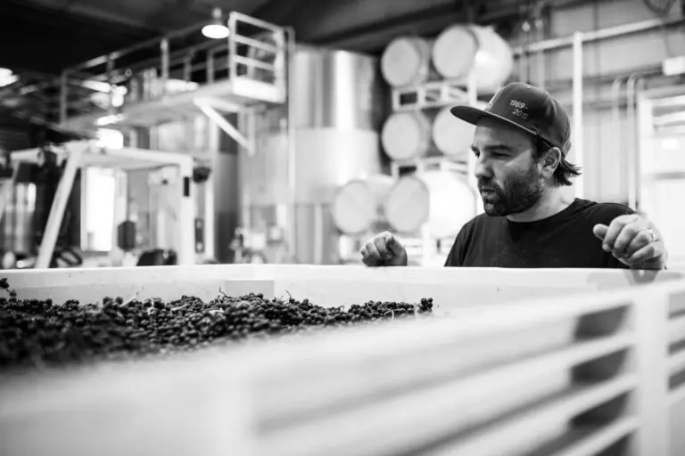 Julien Howsepian inspects fruit at Kosta Browne’s facility. (Courtesy Kosta Browne)