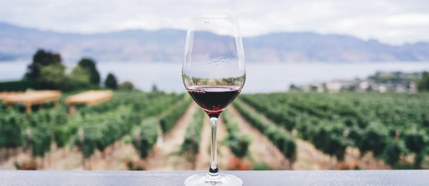 Wine