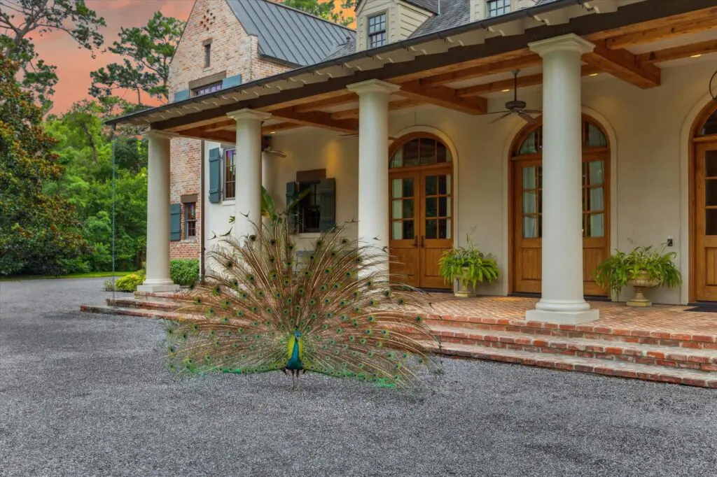 Colonial style columns set the stage for entry to 3 E Rivercrest Drive where friendly peacocks regularly visit. 