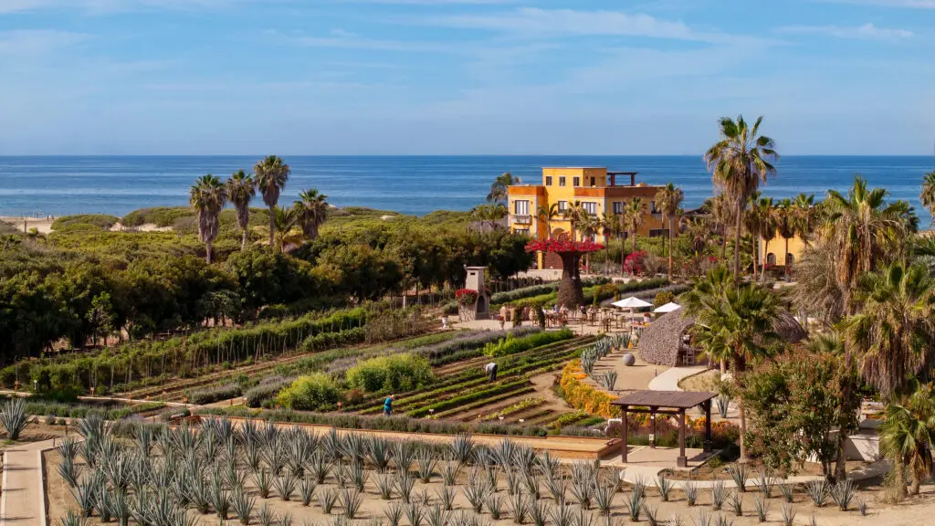  Villa Santa Cruz unfolds a soulful version of laid back luxury hospitality. The family run resort captures quintessential Baja with stunning desert meets farm meets sea surroundings.