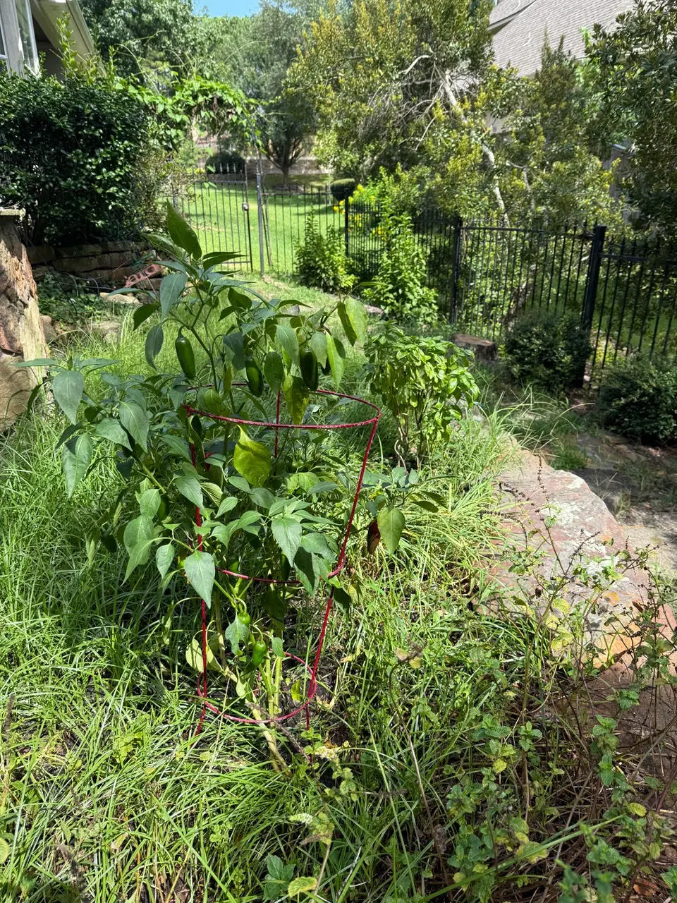garden osorio