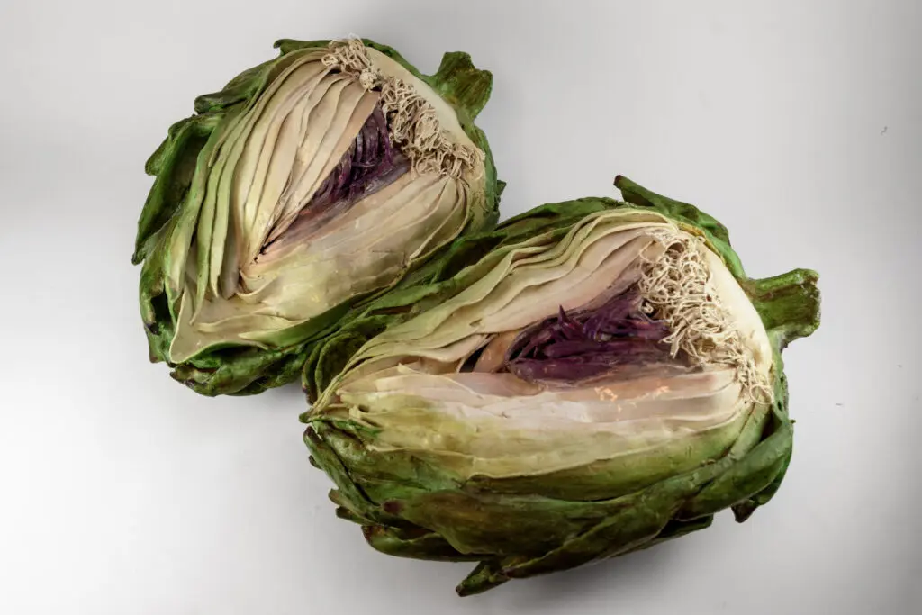 Jane Eggers' "Artichoke," 2023, at Houston Center for Contemporary Craft's CraftTexas 2025