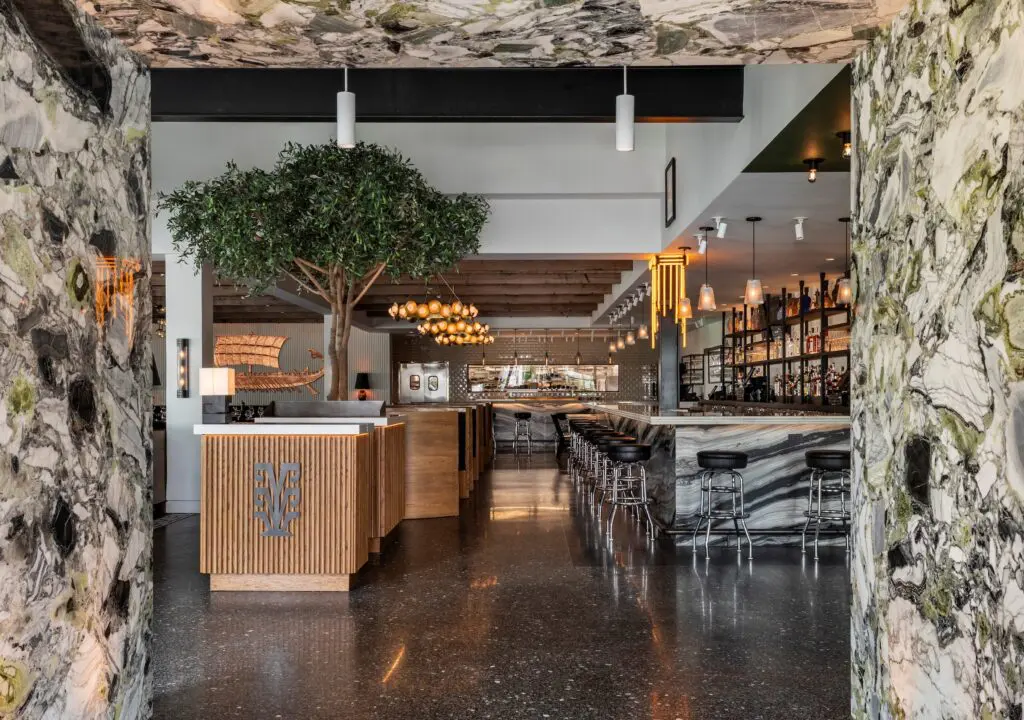 A massive olive tree, the national tree of Greece, welcomes arrivals at Yiayia's Greek Kitchen (Photo by Claudia Casbarian)
