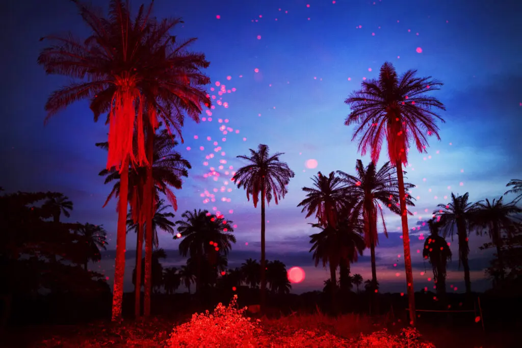 Sanne De Wilde and Bénédicte Kurzen created this work in 2018 as part of the series "Land of Ibeji." (Photo courtesy Houston Center for Photography)