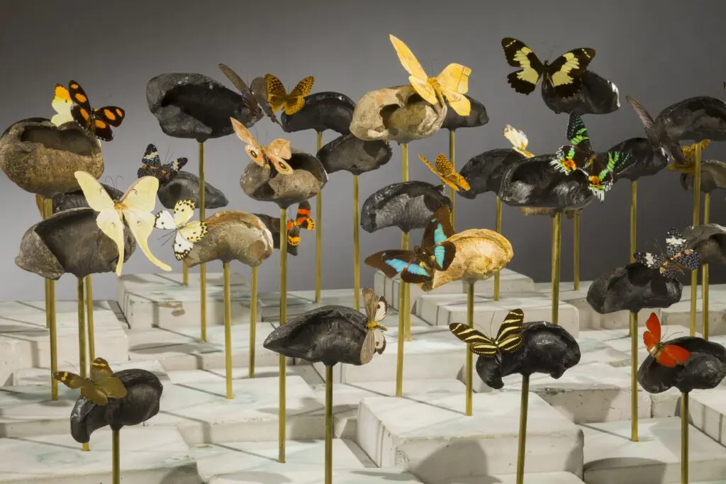 Dario Robleto's "American Seabed," 2014, at Art League Houston