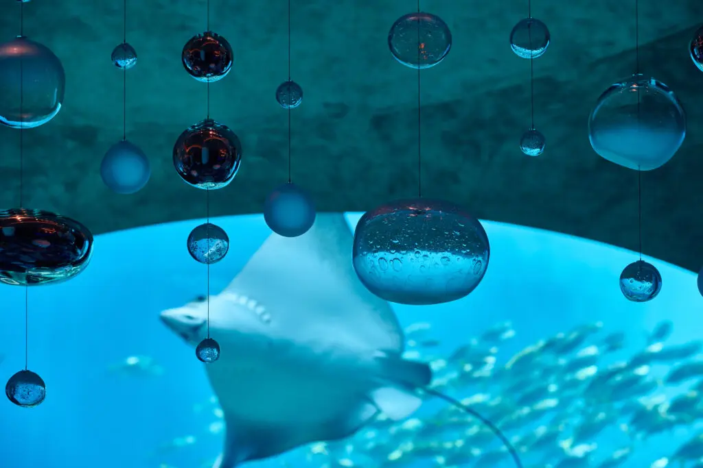 At Ossiano, guests descend a grand staircase 10 meters down to the bottom of The Lost Chambers Aquarium, one of the world's largest aquariums, dining amongst the mystical, illuminating glow of the water and its majestic inhabitants. (Photo by Atlantis, The Palm and Atlantis The Royal)