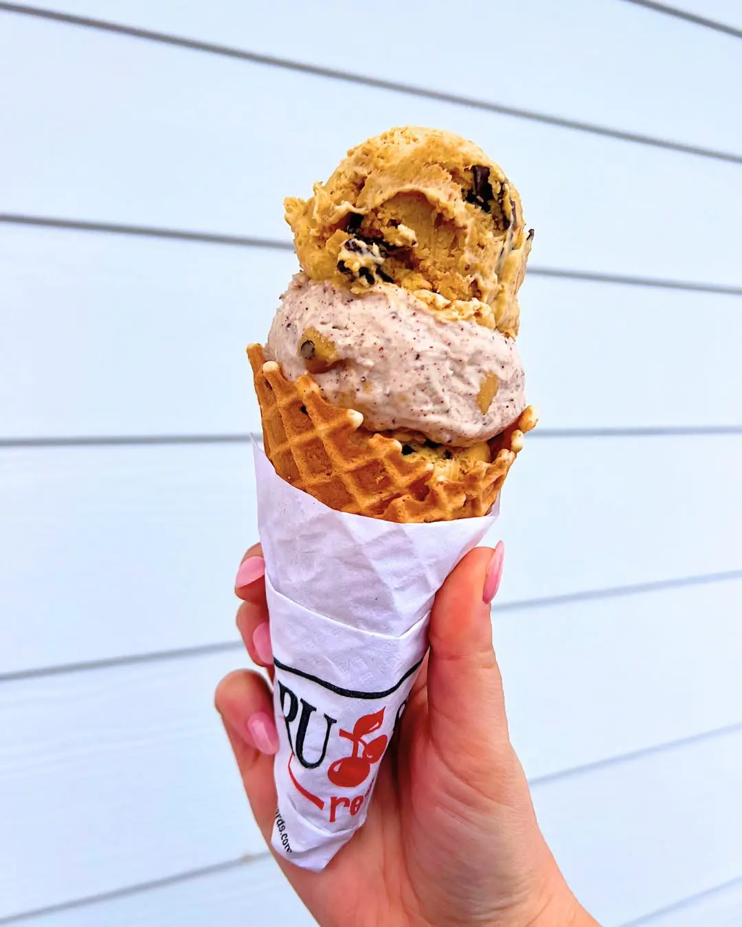Bruster’s Ice Cream
