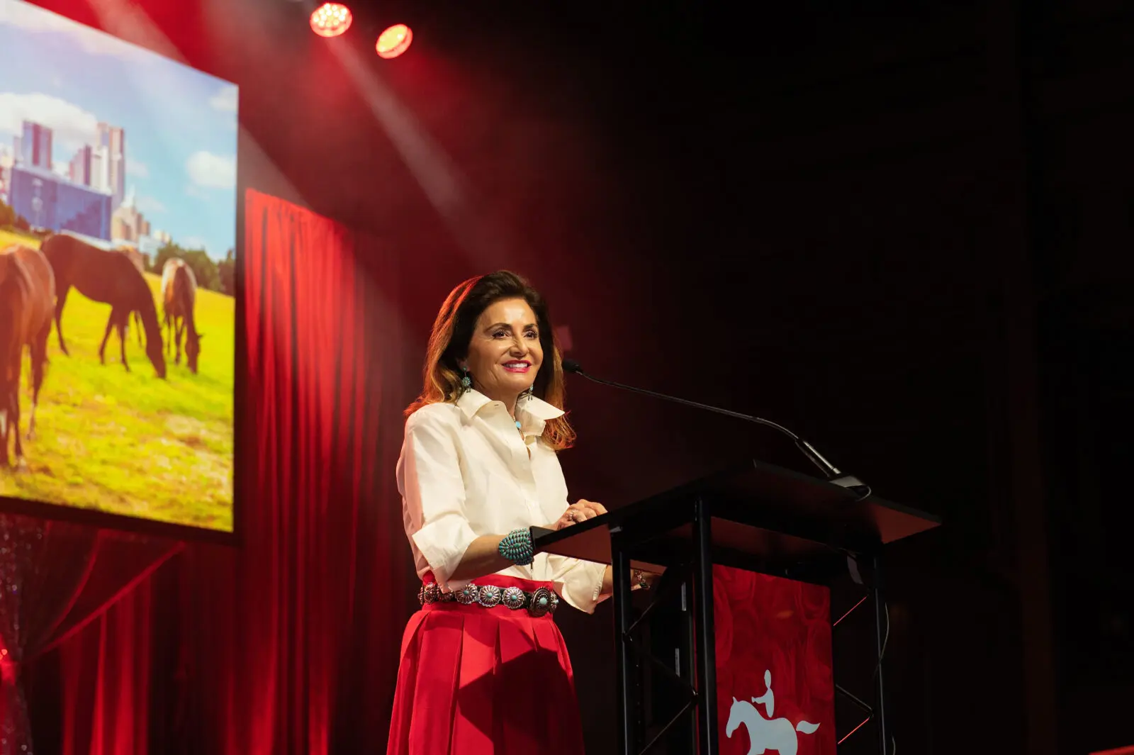 Gala Co-Chair Melinda Knowles speaking (Photo by Tamytha Cameron)
