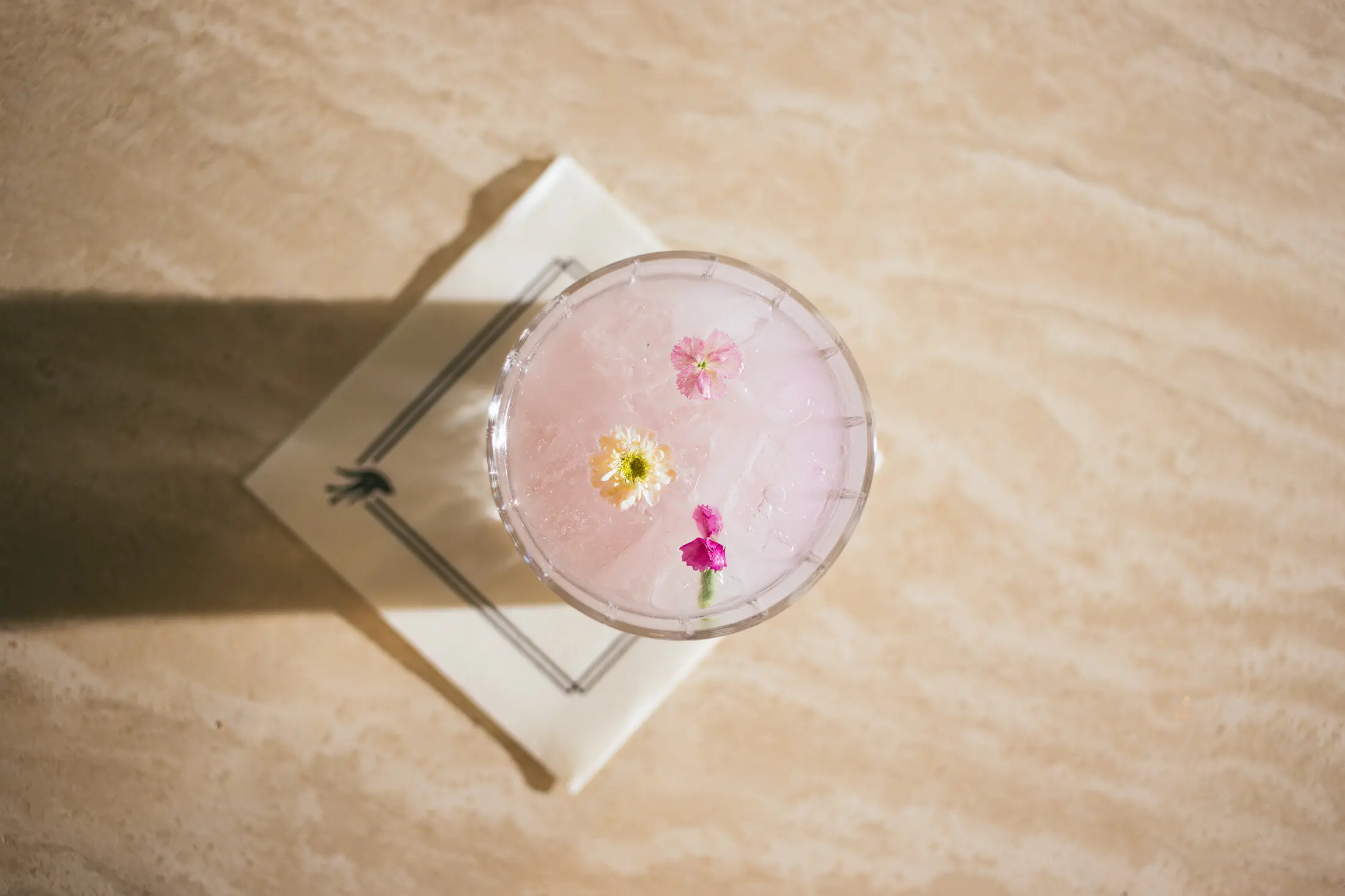 Mini Mirador Margarita Fort Worth restaurant news