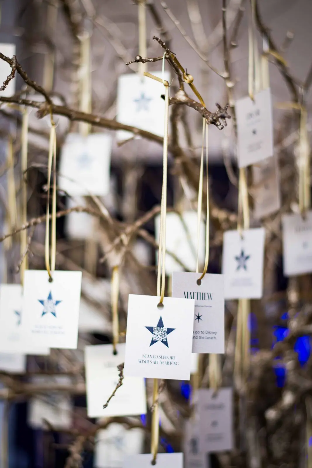 The storytelling-focused programming during the gala enabled the organization to demonstrate its mission in action. (Photo by Kelly Alexander)
