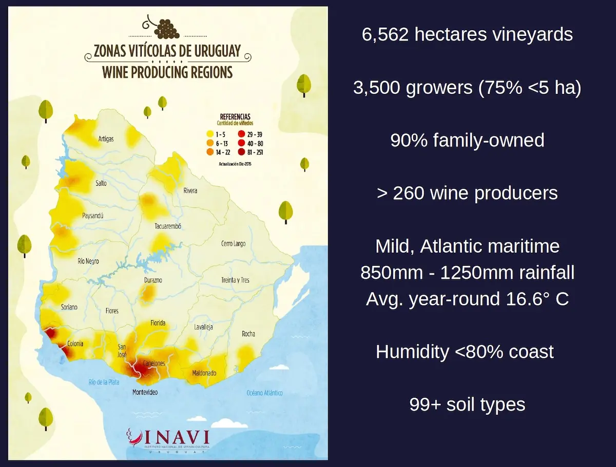 Rick Arline suggests that you not overlook Uruguay when looking for wines. (Courtesy INAVI)