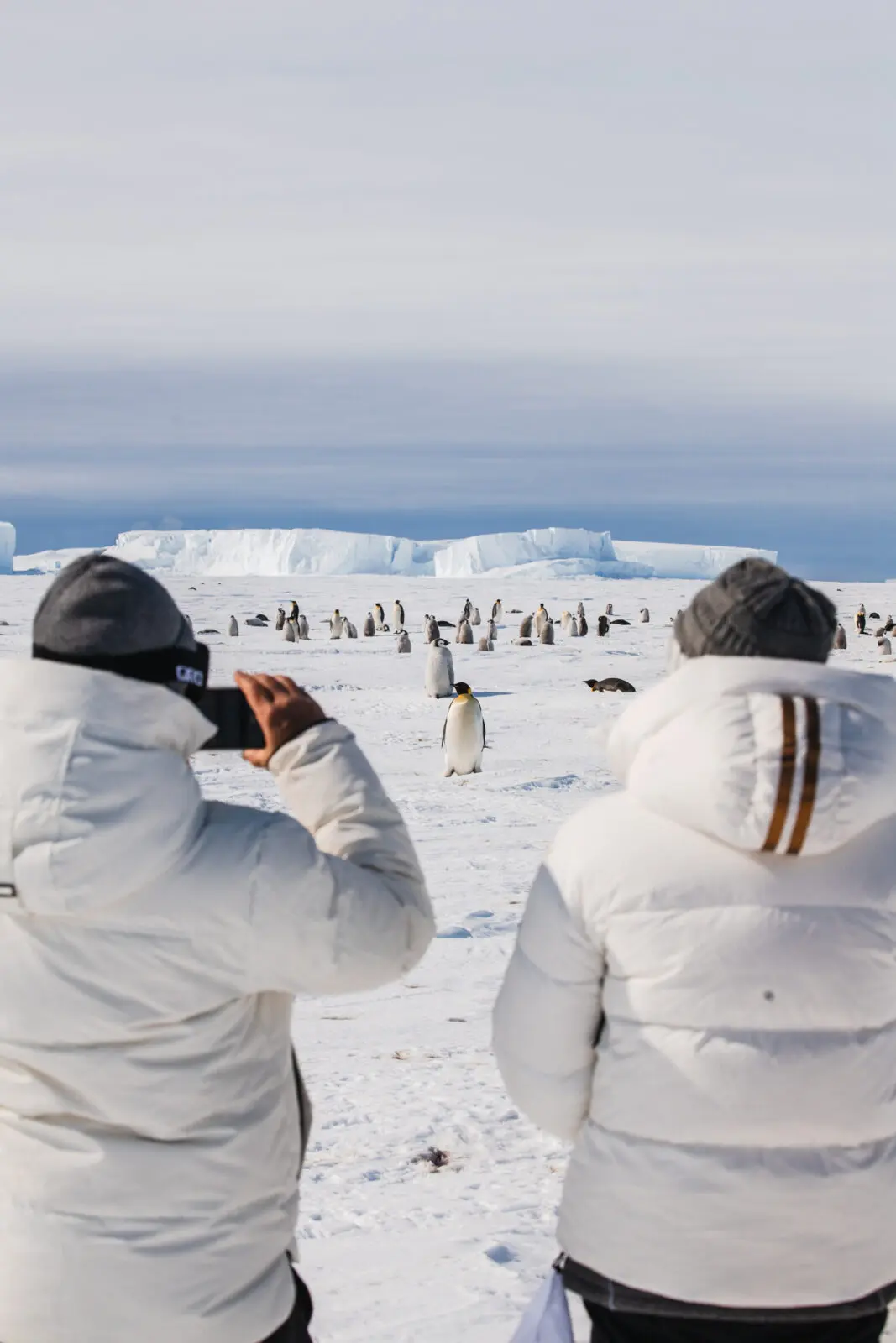White-Desert-Penguins-25-26-2