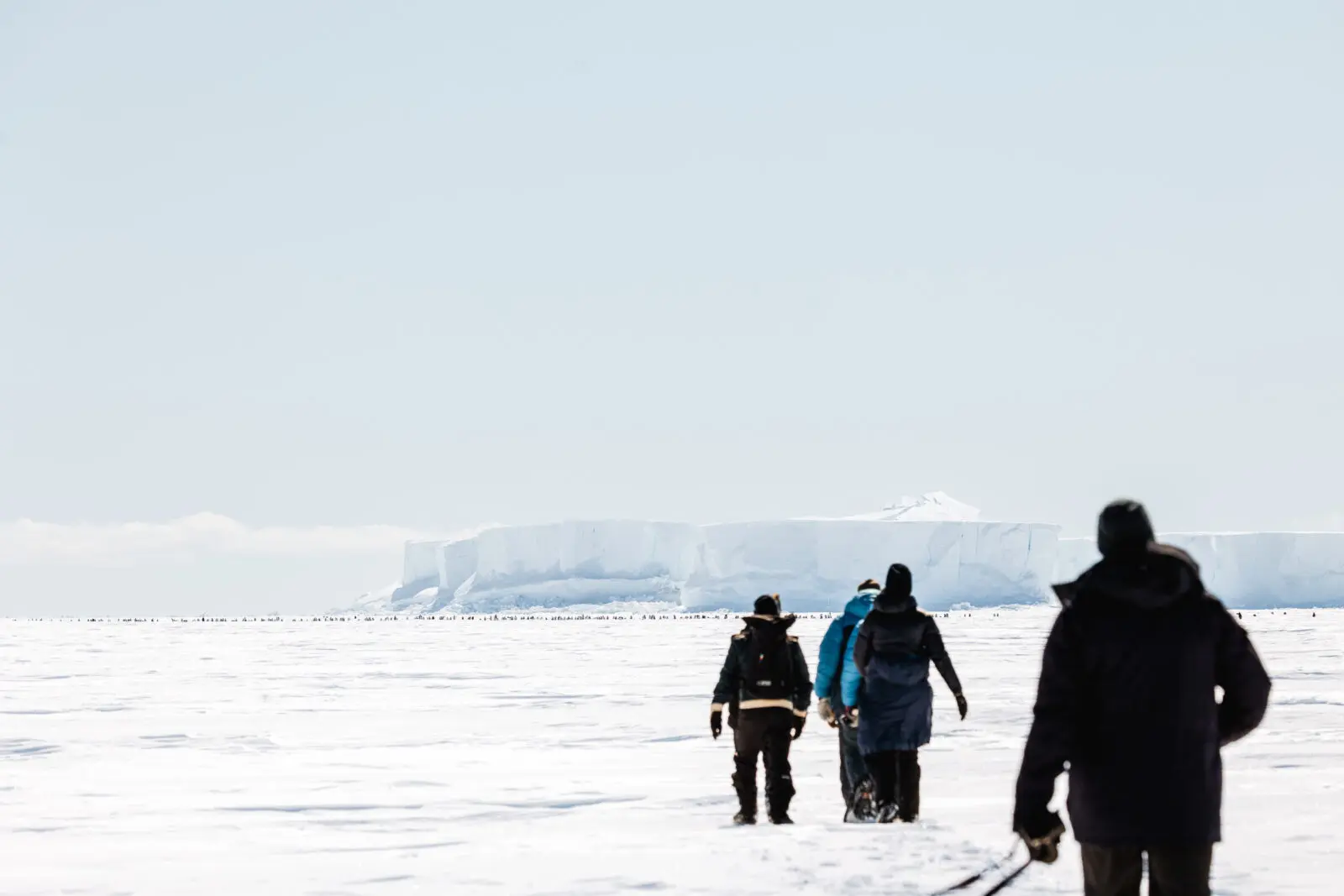 White Desert itineraries range from a single-day expedition to multi-night journeys of up to eight nights on the continent.