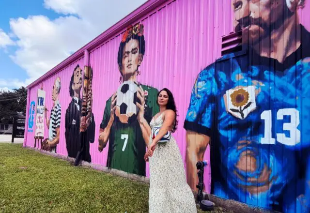 Houston’s World Cup Art — Grand Murals and Impressive Exhibitions Bring Staying Power