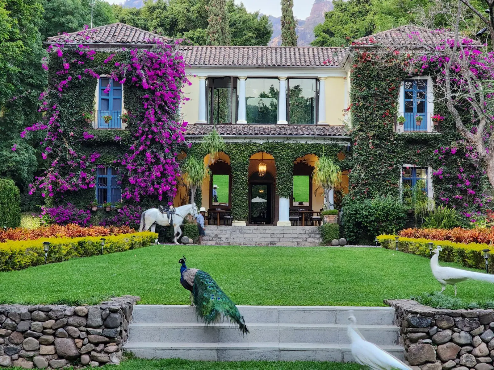 Inside a Houston Couple’s Charming Mexican Retreat and Wedding Land — Feronia Brings Natural Beauty and a Mystical Ambience