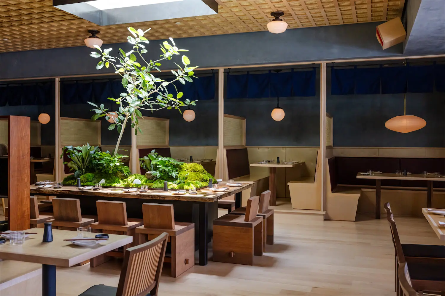 Neighborhood Sushi Dallas
