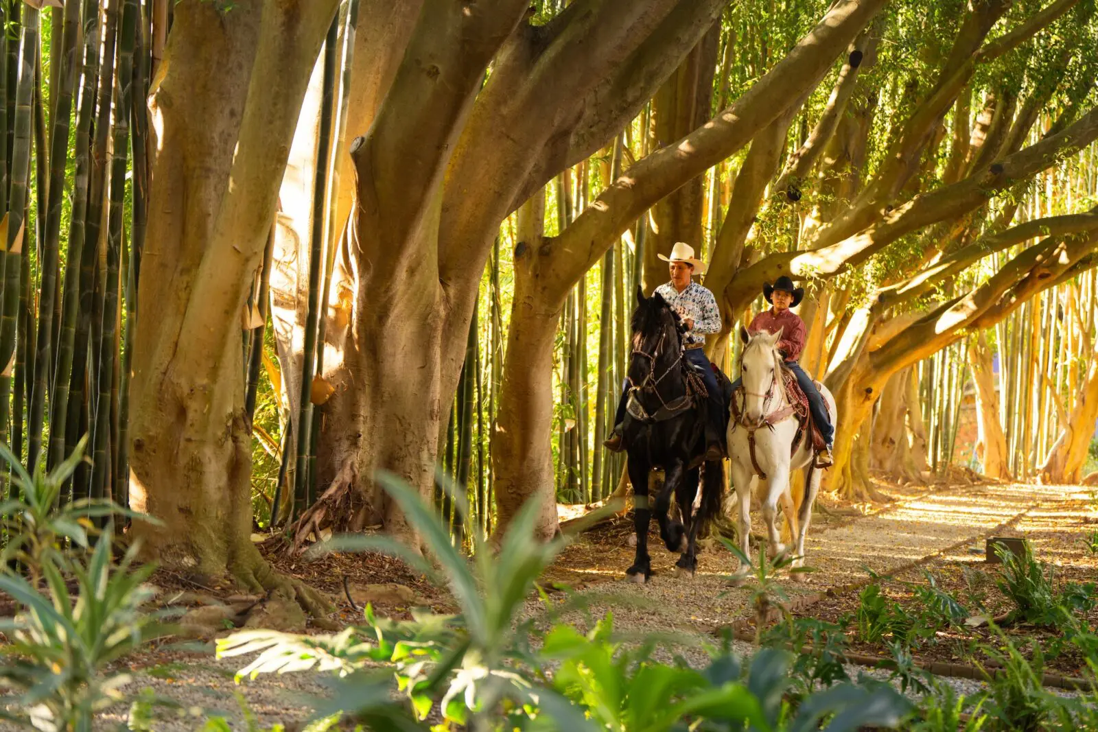 Horseback riding is one of several pastimes offered at Feronia. (Photo courtesy of Feronia)
