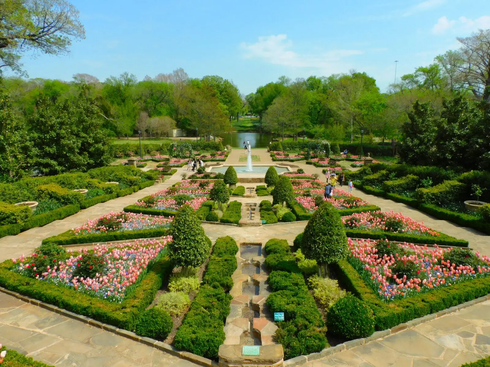 Whether serving as the backdrop for unforgettable weddings, welcoming families to holiday light displays, or hosting outdoor concerts, the Fort Worth Botanic Garden has long been one of the city’s most cherished gathering places. (Courtesy)
