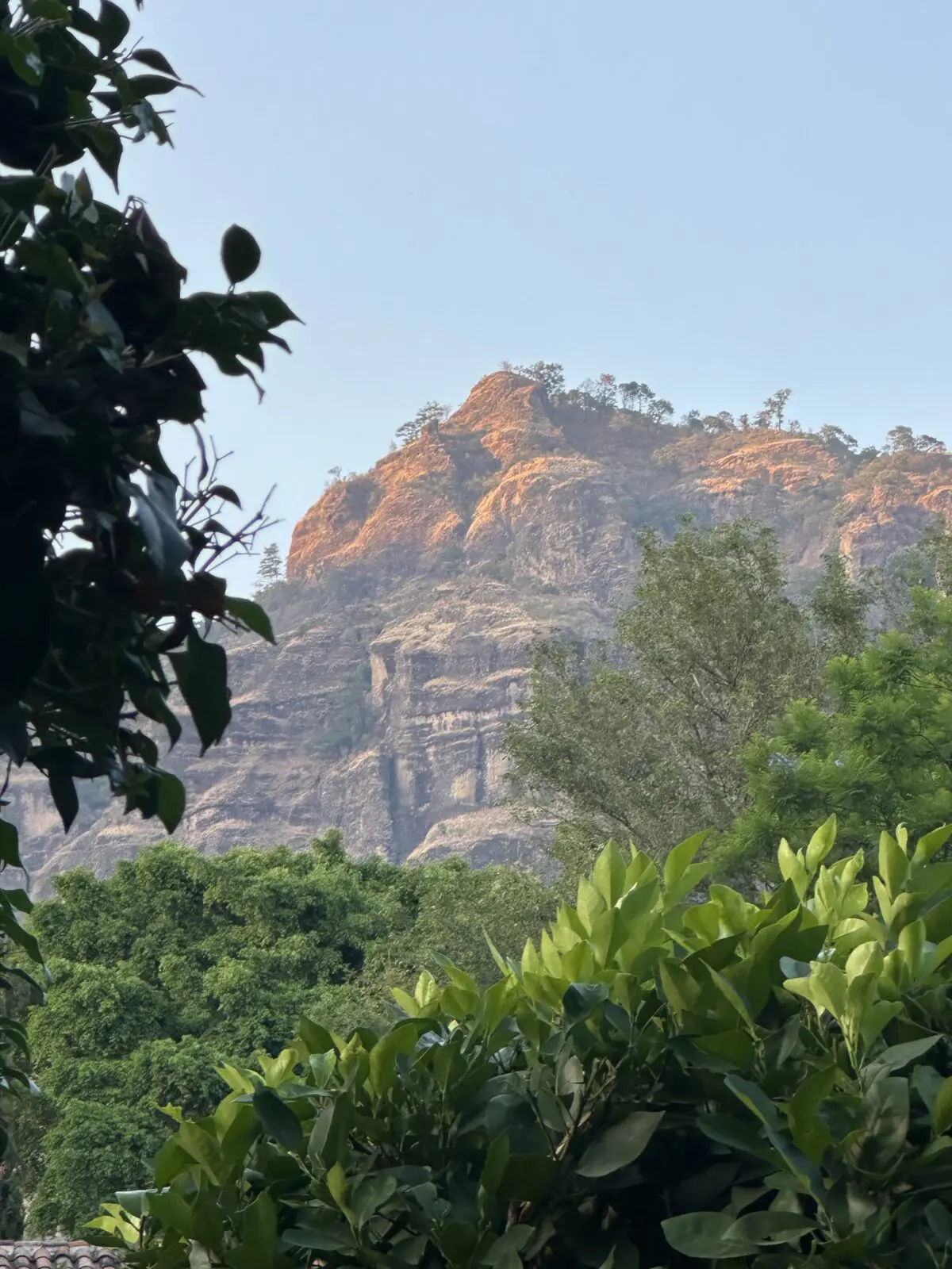 The imposing Tepozteco mountains provide a dramatic backdrop to the Feronia grounds. (Photo by Shelby Hodge)