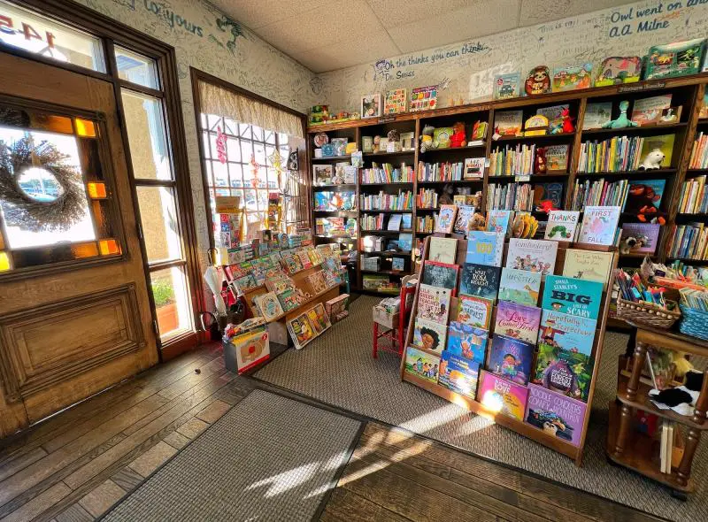 children blue willow books houston