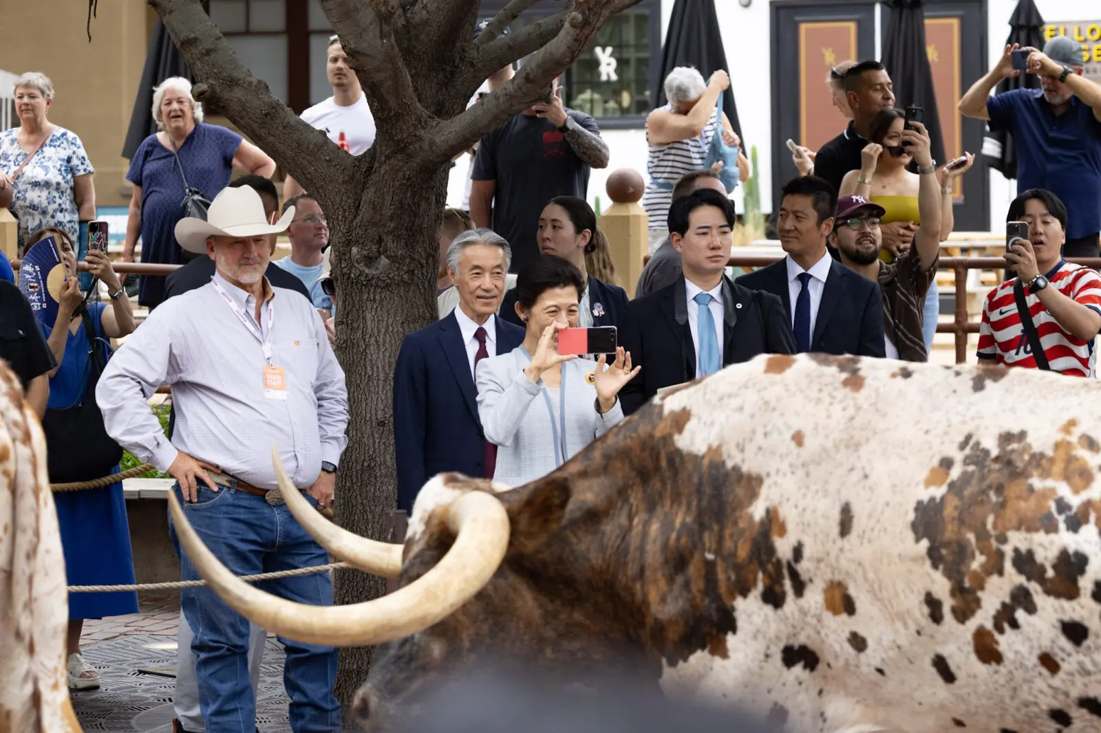 Princess Takamado watches the Fort Worth Herd cattle drive during her visit to the Stockyards. (Photograph by Brooks Burris for Visit Fort Worth)
