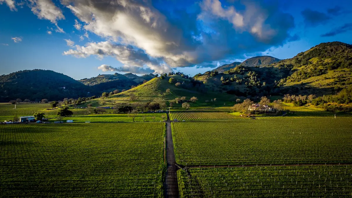A view from the Chateau Montelena estate.