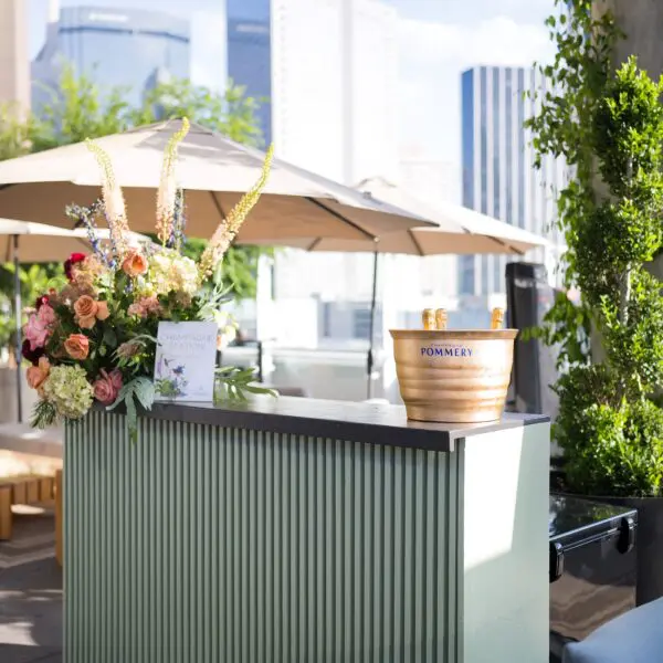 Vincent’s Skybar is A Downtown Dallas Oasis Where Art, Nature, and Celebration Meet