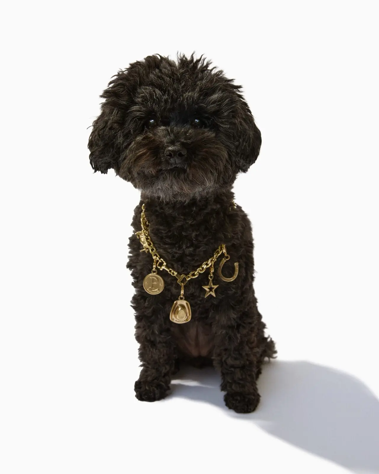 Appropriate for boots and pups, Partlow boot jewelry is popular for all.