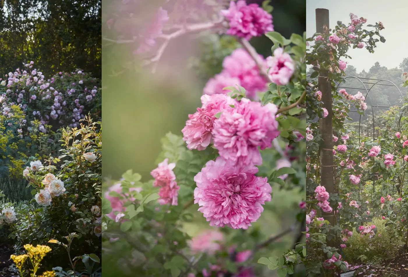 “Garden Bliss – Magical Abundance” 20th Anniversary A Writer’s Garden Literary Symposium and Luncheon