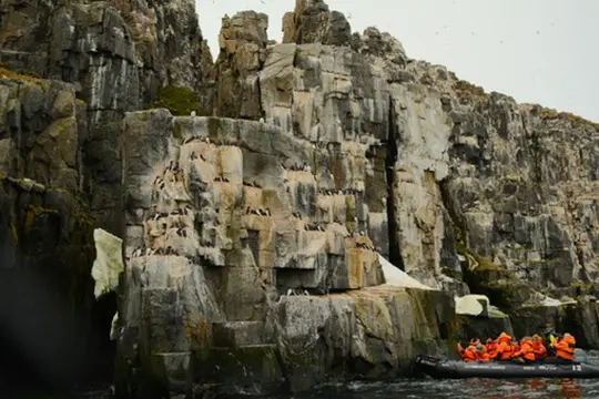 Zodiac cruises bring guests up close to a part of the planet few people ever get to see. (Photo by Georgie Miller)